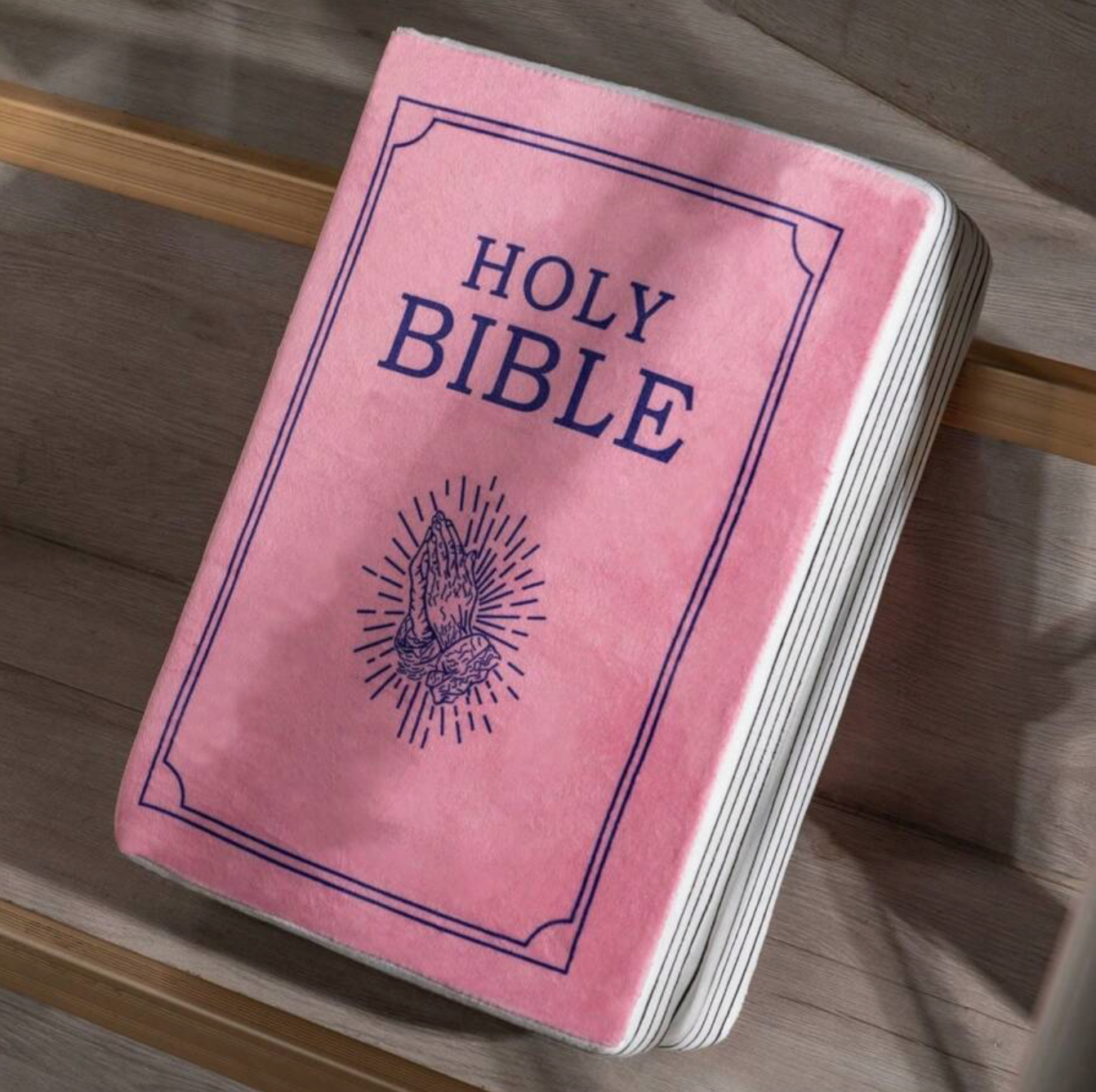 Bible Pillow, Stuffed Memory Sponge - Romans 8:18