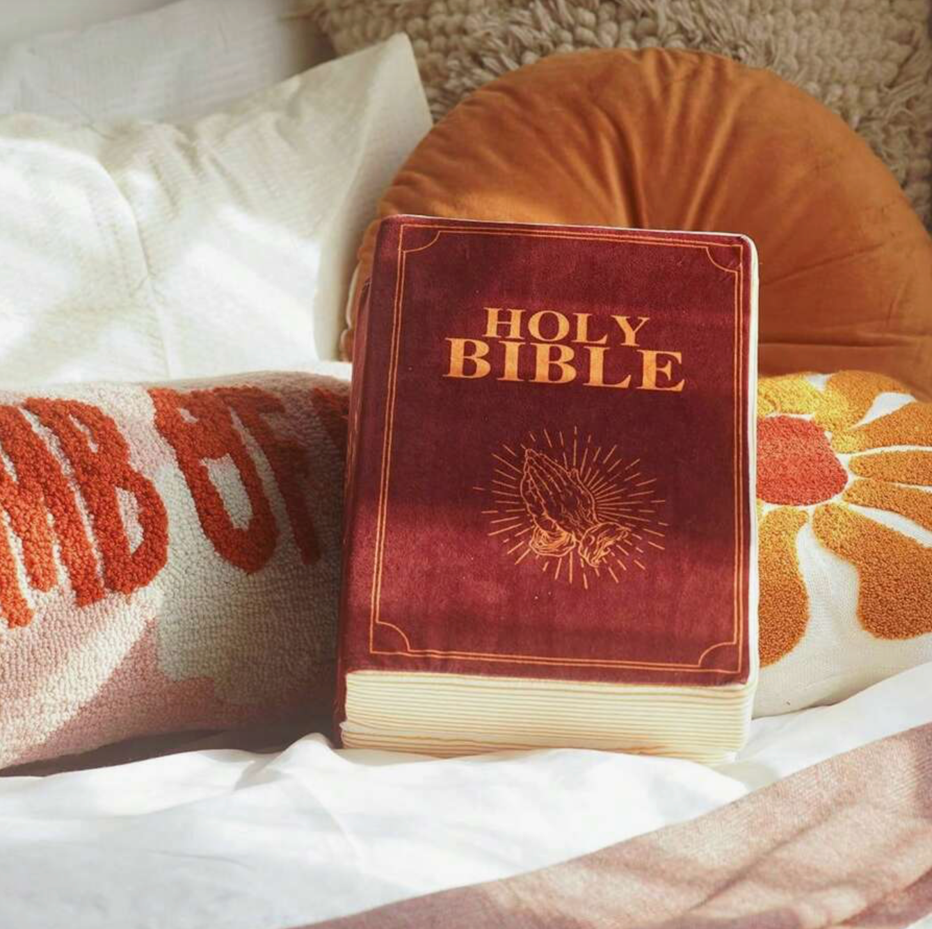 Bible Pillow, Stuffed Memory Sponge - Matthew 6