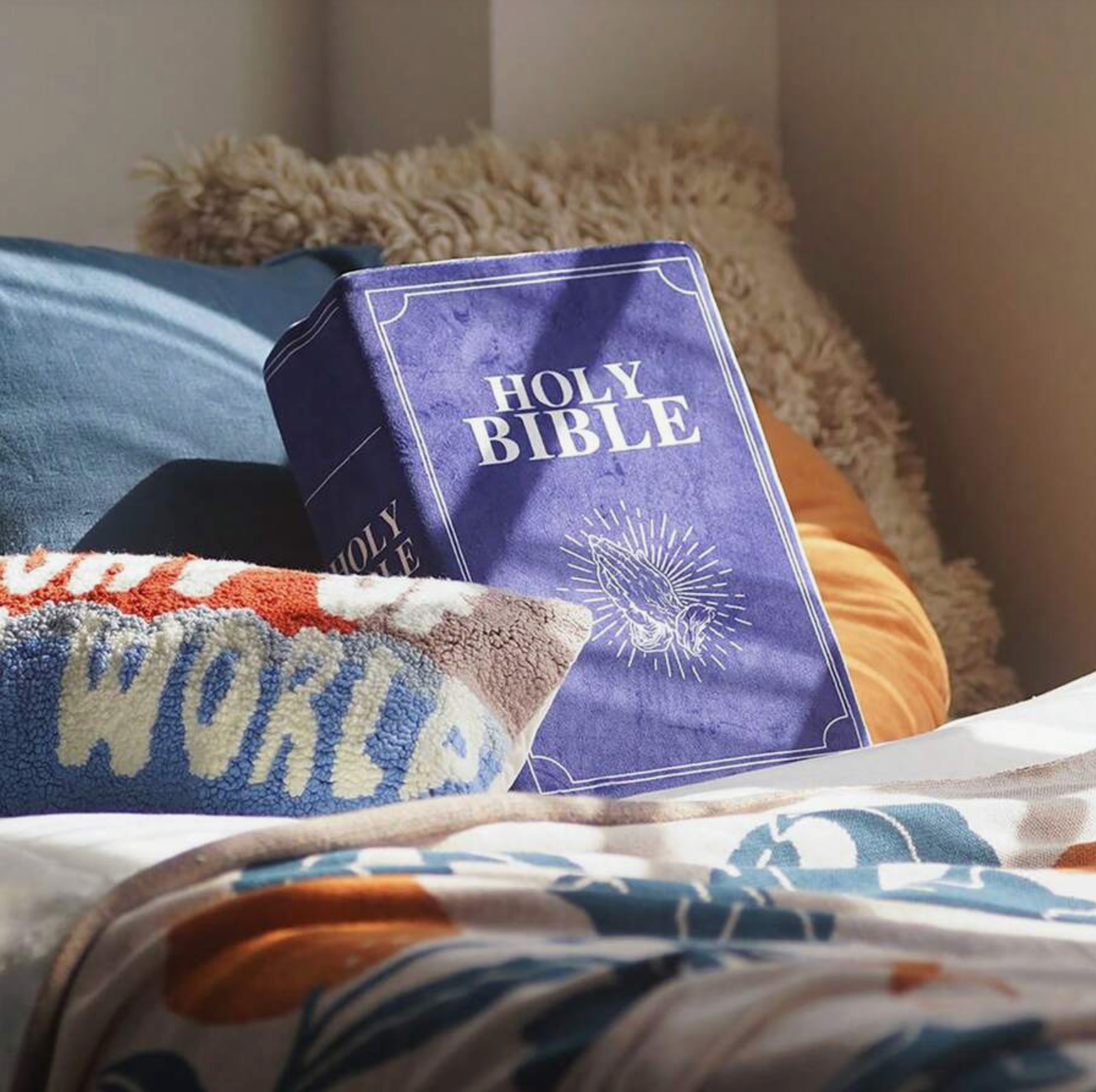 Bible Pillow, Stuffed Memory Sponge - Matthew 6
