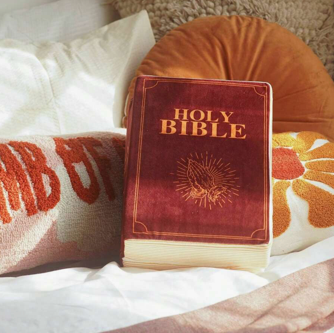 Bible Pillow, Stuffed Memory Sponge - Mark 16